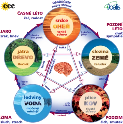 Detoxikační a informační medicína Joalis 2 Joalis info
